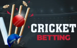 india cricket schedule​ at silverexch247 featured image